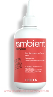 ��������� �����-������������� Ambient Servic, ��� 1, 250 ��